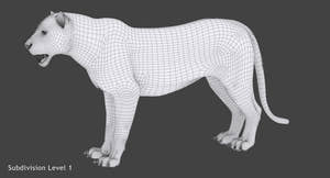 White tiger 3D model wireframe view subdivision level 1 Thumbnail