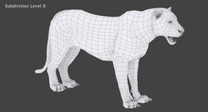 White tiger 3D model wireframe view subdivision level 0 Thumbnail