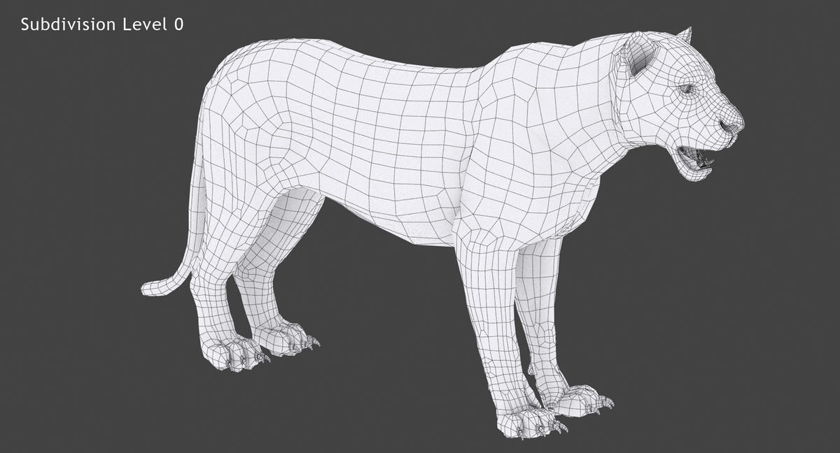 White tiger 3D model wireframe view subdivision level 0