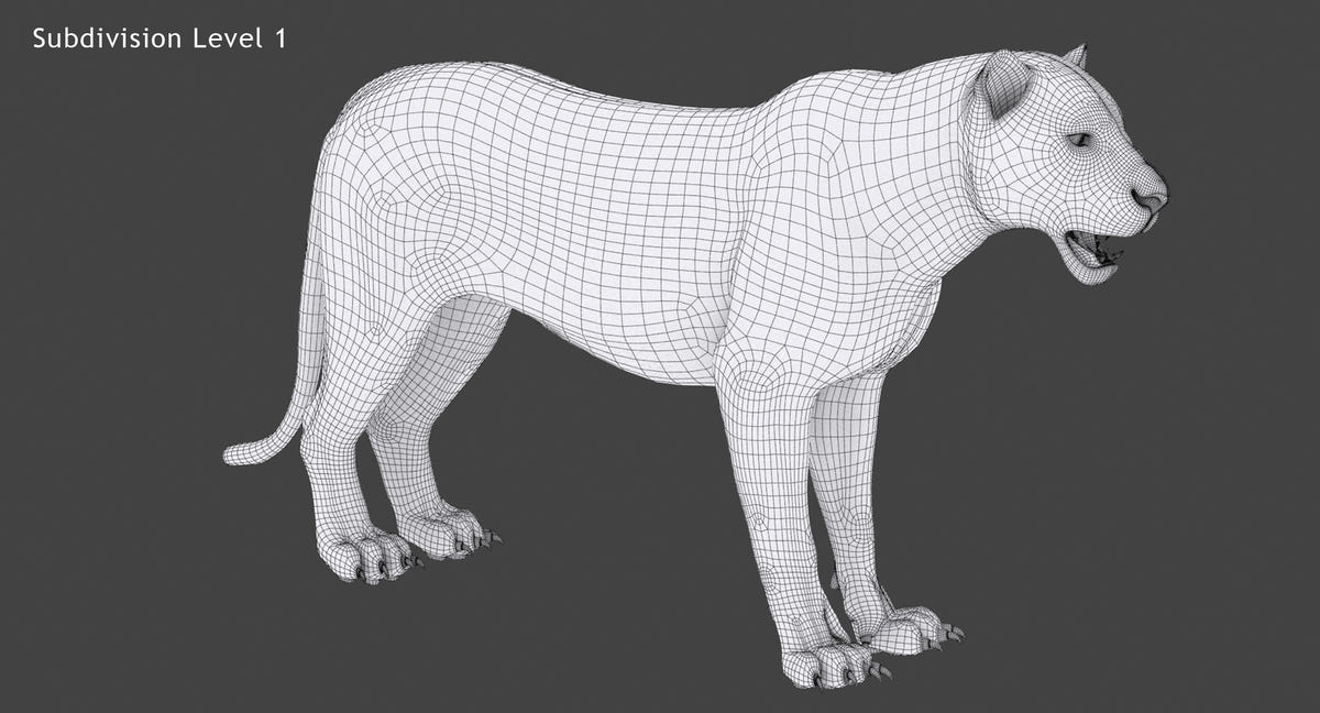 White tiger 3D model wireframe view subdivision level 1