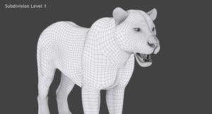 White tiger 3D model head close up -wireframe view subdivision level 1 Thumbnail