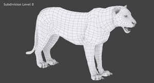Big Cats 05 3D Model Thumbnail