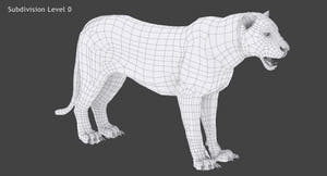 Big Cats 05 3D Model Thumbnail