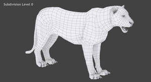 Big Cats 04 3D Model Thumbnail