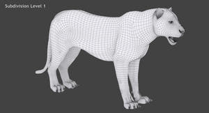 Big Cats 05 3D Model Thumbnail