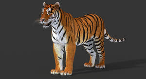 Realistic Tiger 3D Model for Download Thumbnail