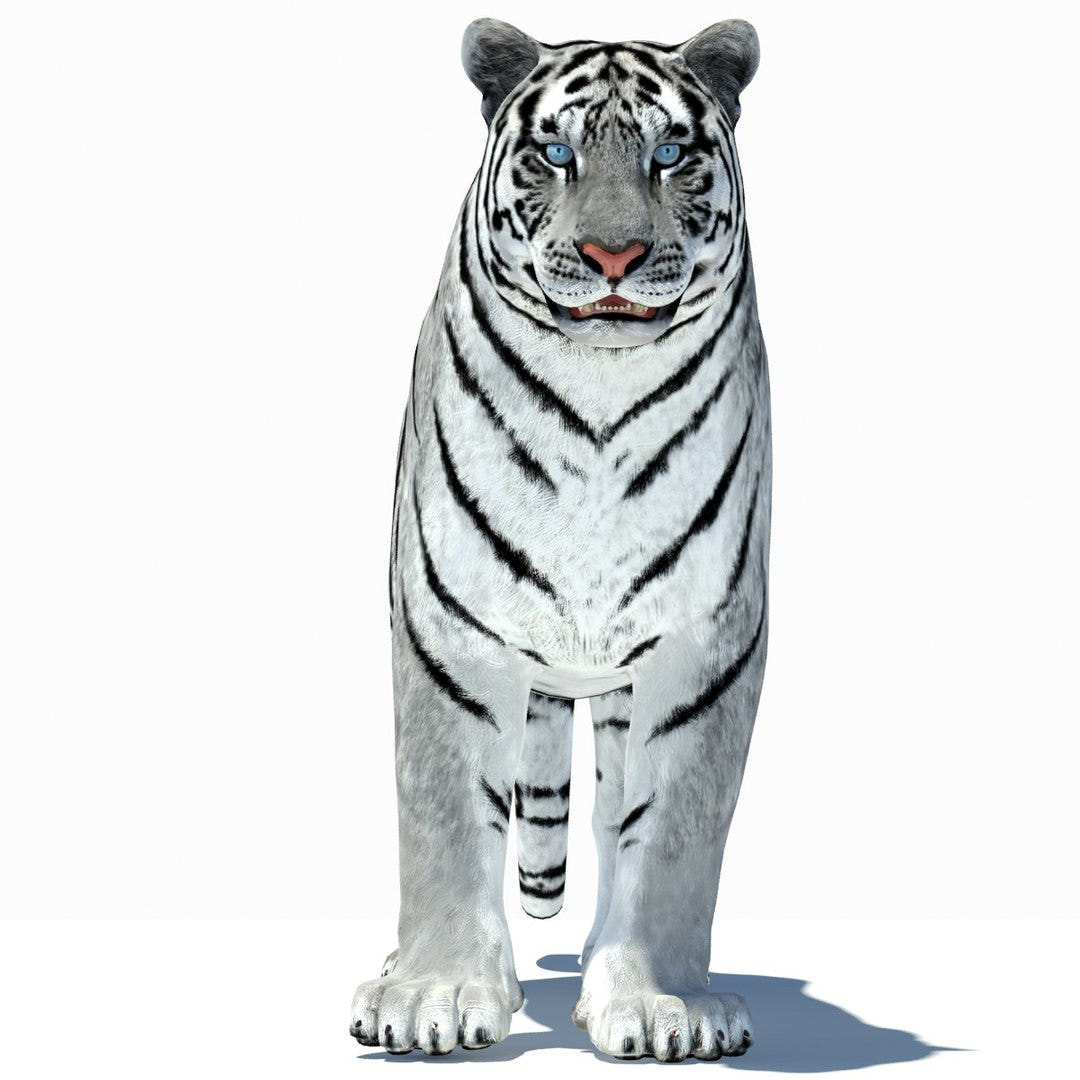 Animated Tiger 3D Model with White and Natural Variations
