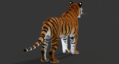 Big Cats 03 3D Model
