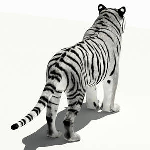 Tiger White and Natural 3D Model Thumbnail
