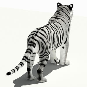 Tiger White and Natural 3D Model Thumbnail