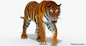 Realistic Tiger 3D Model for Download Thumbnail