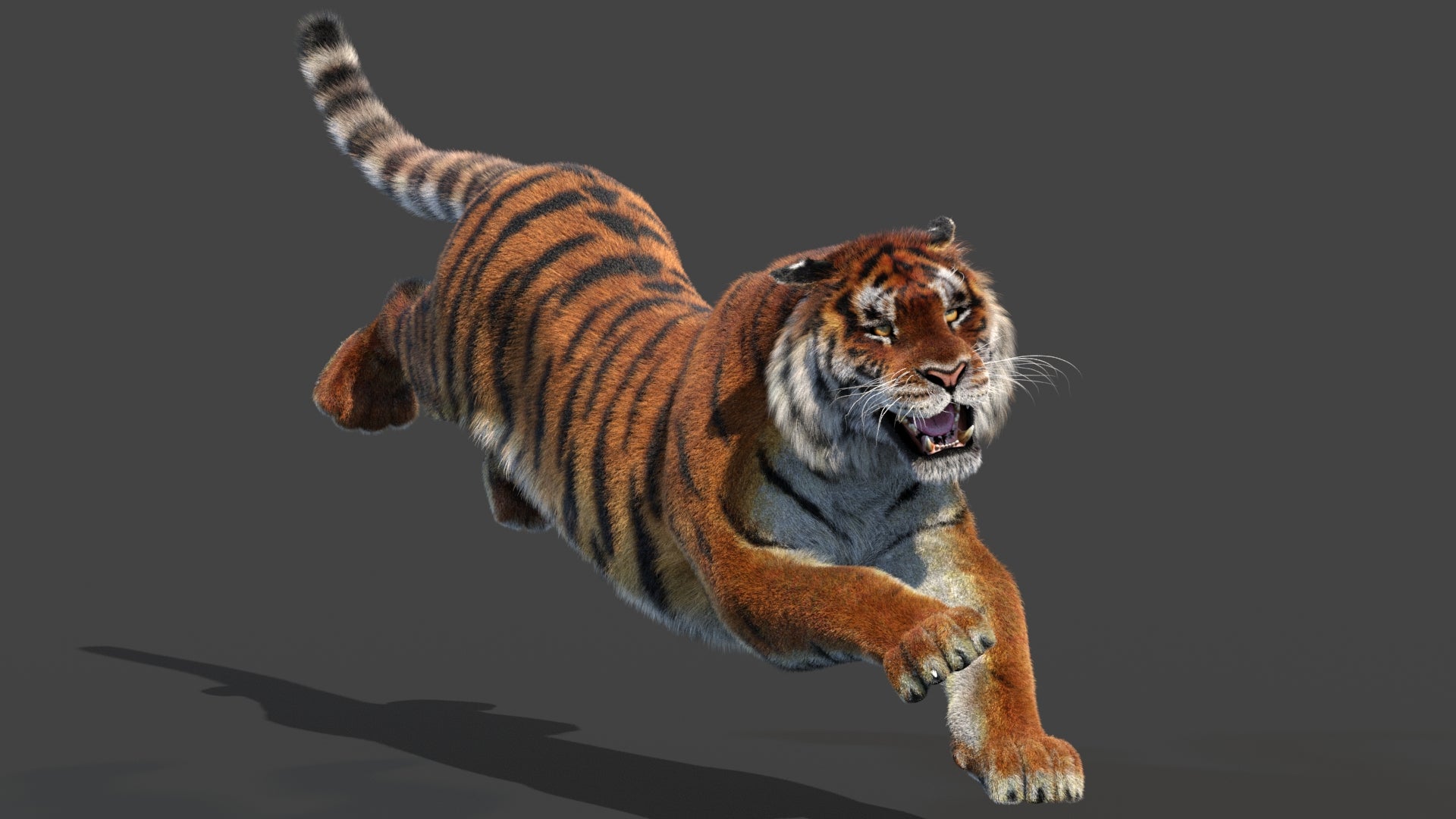 Animated Siberian Tiger 3D Model with Fur
