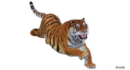 Animated Big Cats 3D Model Fur