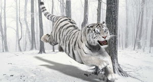 Tiger 3D Model running through a snowy forest Thumbnail