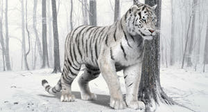 Animated White Tiger 3D Model for Download Thumbnail