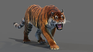 3D rendered tiger on a gray background Thumbnail