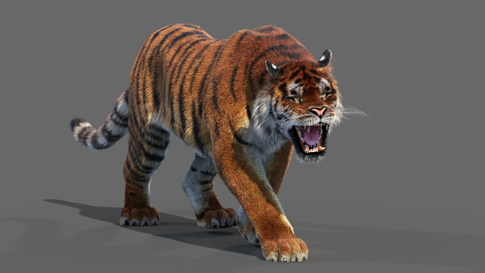 3D rendered tiger on a gray background