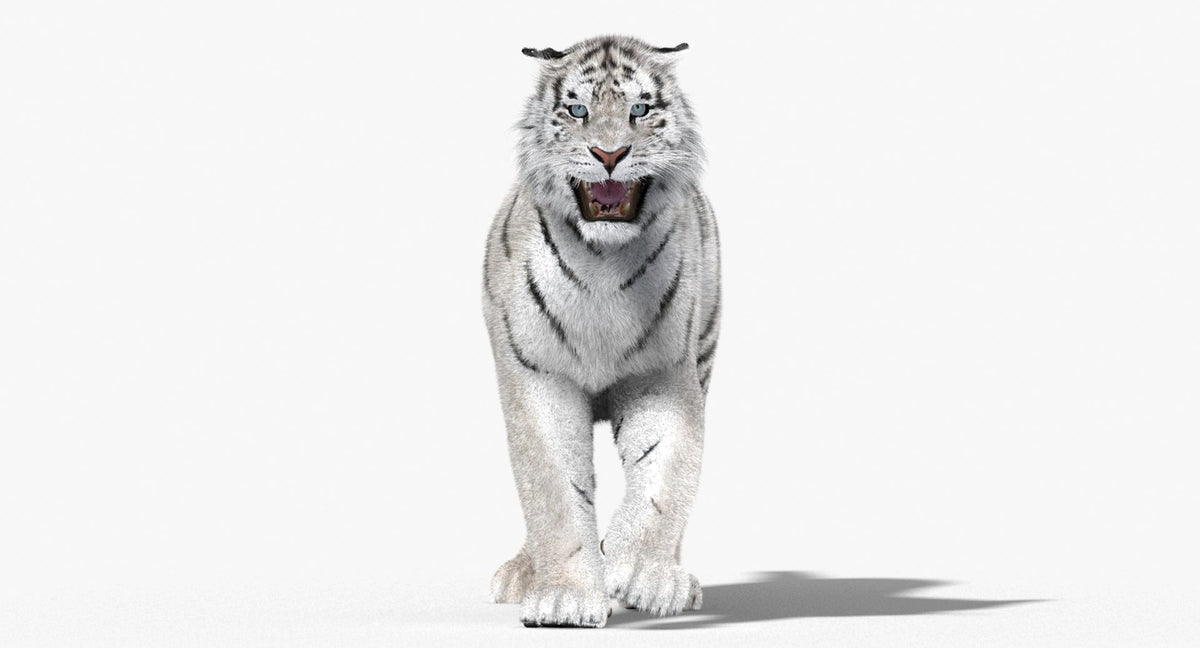 Animated White Tiger 3D Model for Download