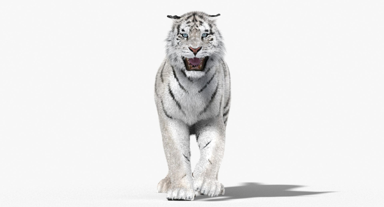 Animated White Tiger 3D Model for Download