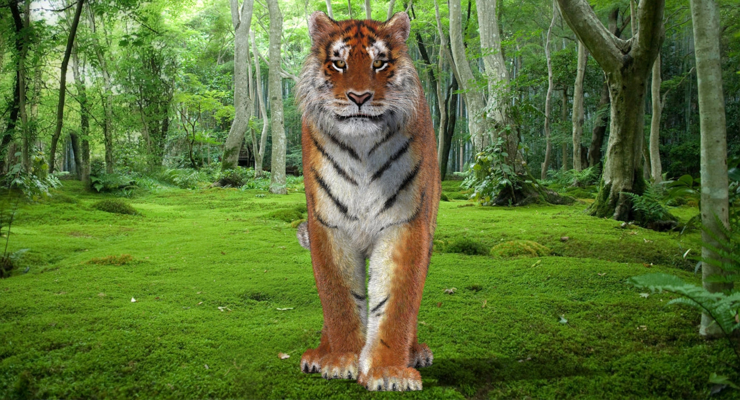 Animated Big Cats 3D Model Fur
