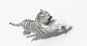 Animated Siberian Tiger 3D Model - Two Coats with Hair and Fur Thumbnail