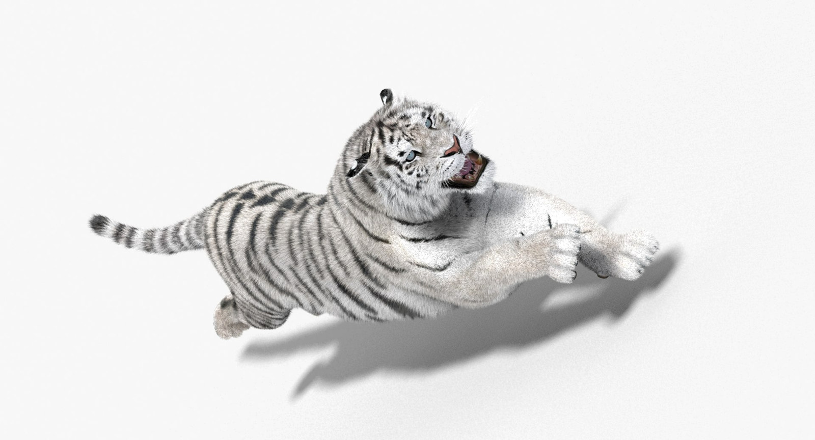 Tiger Animated 3D Model Fur Two Colors