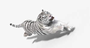 Tiger Animated 3D Model Fur Two Colors Thumbnail