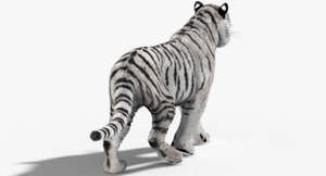 Tiger Animated 3D Model Fur Two Colors Thumbnail