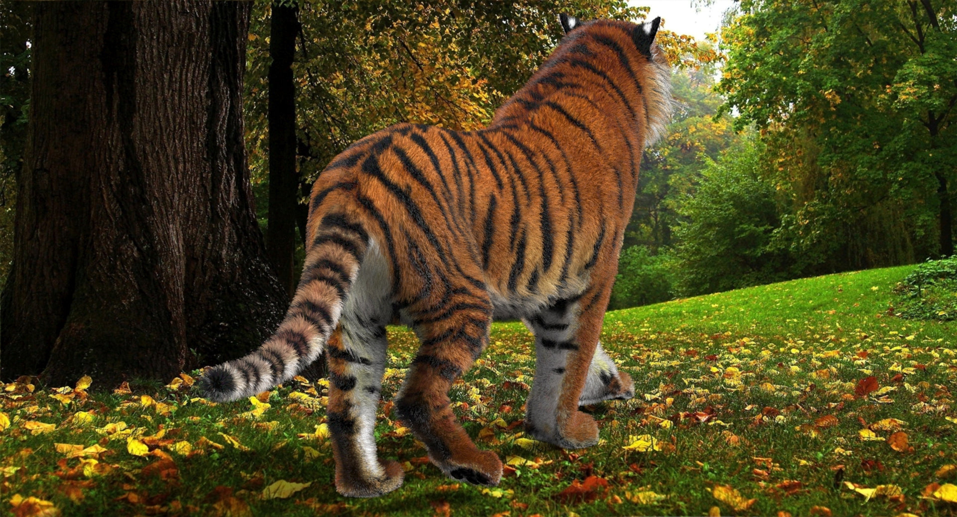 Animated Big Cats 3D Model Fur