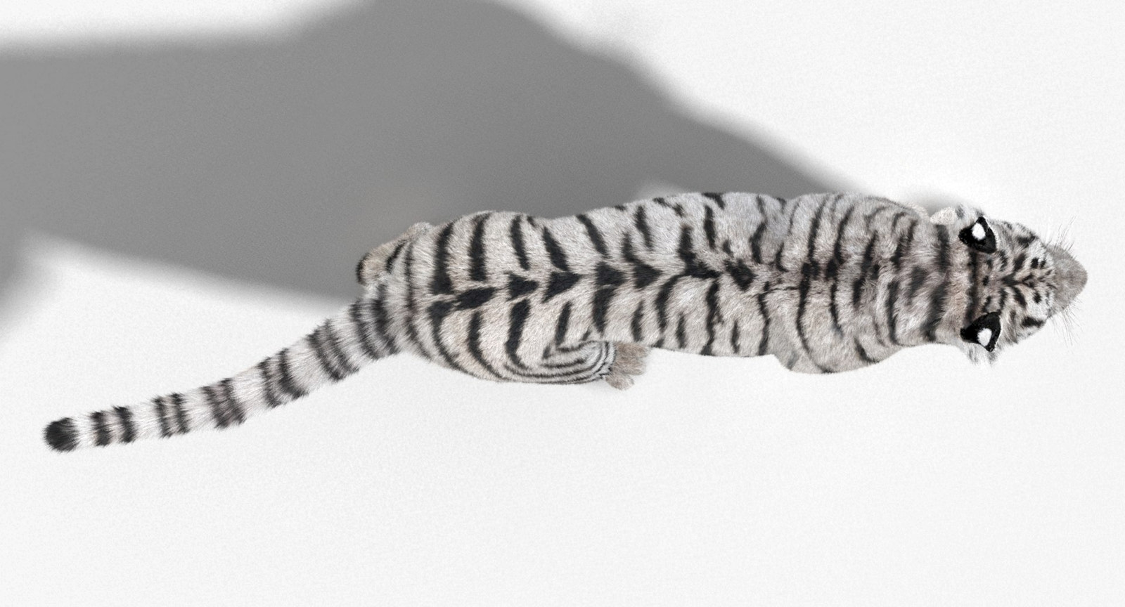 Tiger Animated 3D Model Fur Two Colors