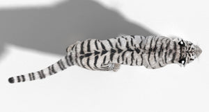 Tiger Animated 3D Model Fur Two Colors Thumbnail