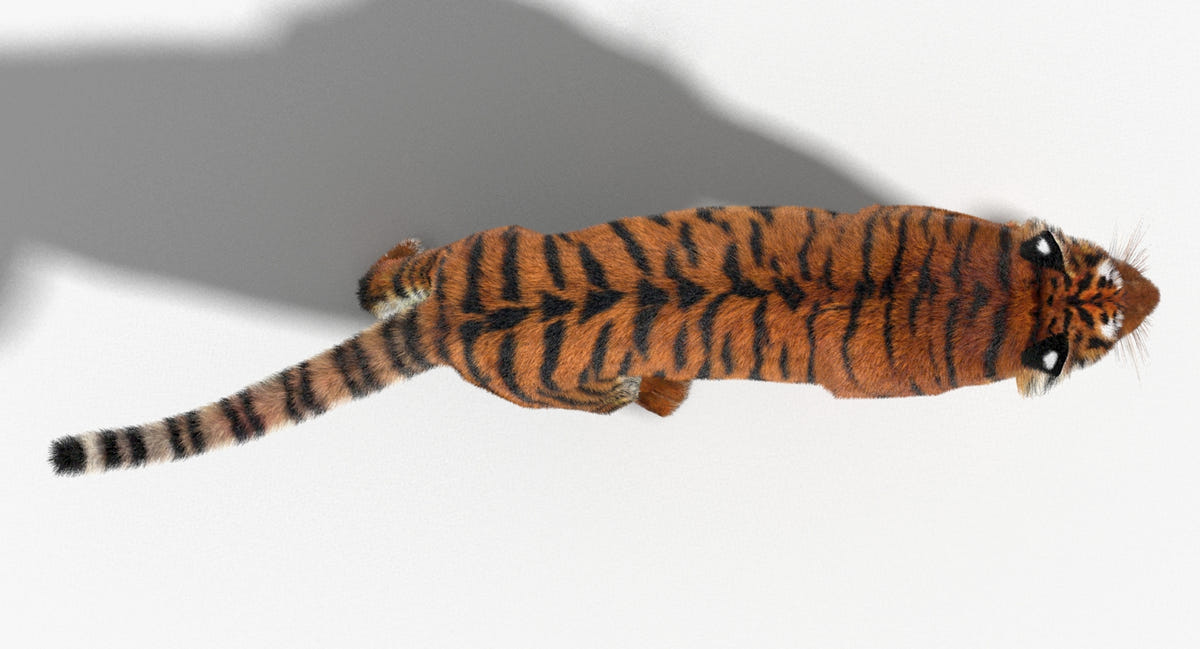 Animated Big Cats 3D Model Fur