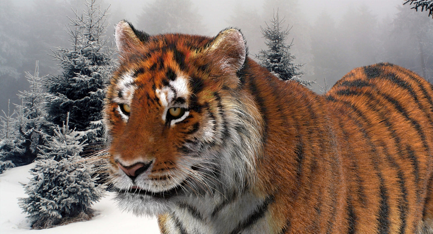 Animated Big Cats 3D Model Fur