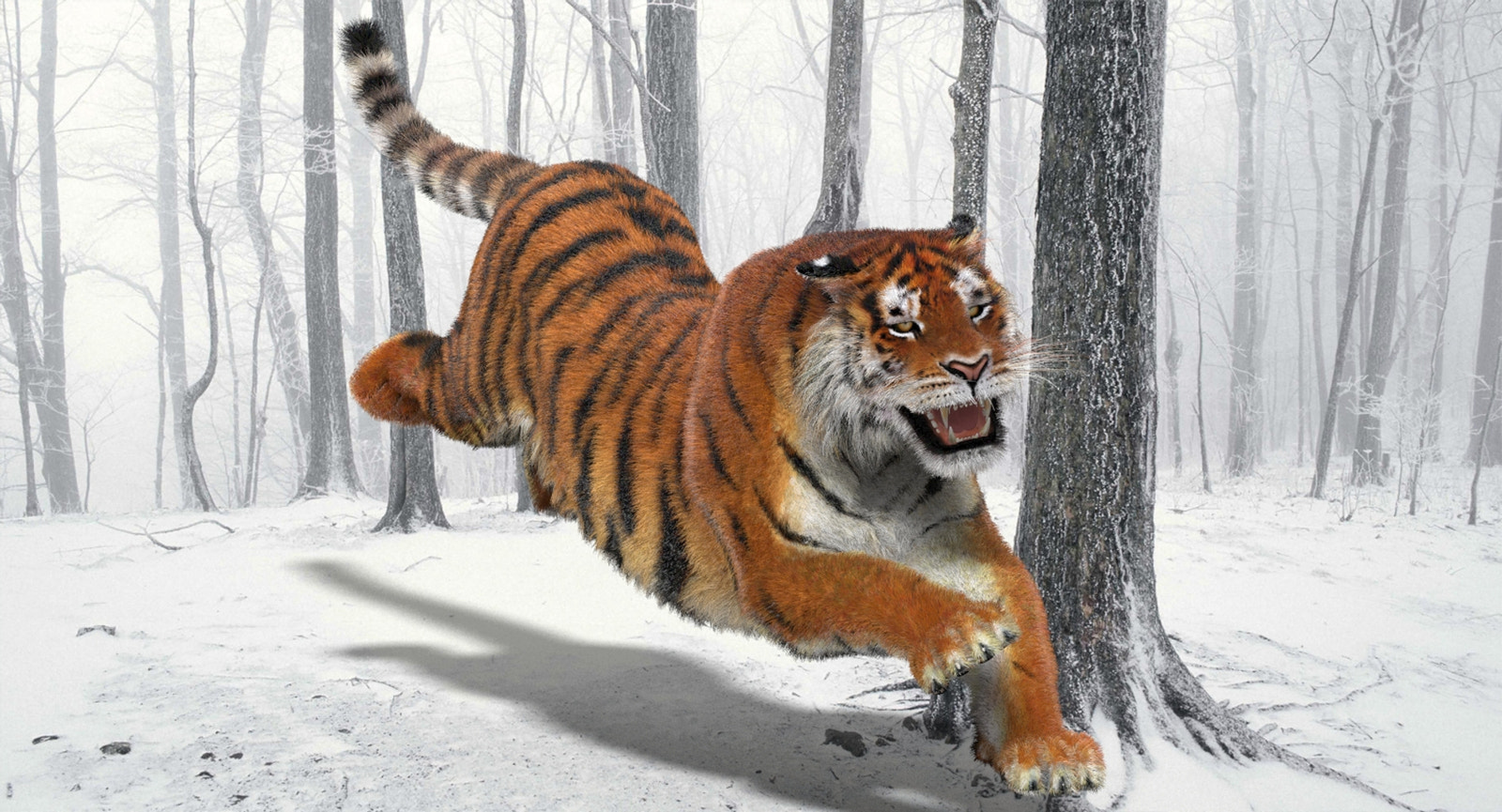 Tiger running through a snowy forest