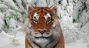 Animated Big Cats 3D Model Fur Thumbnail