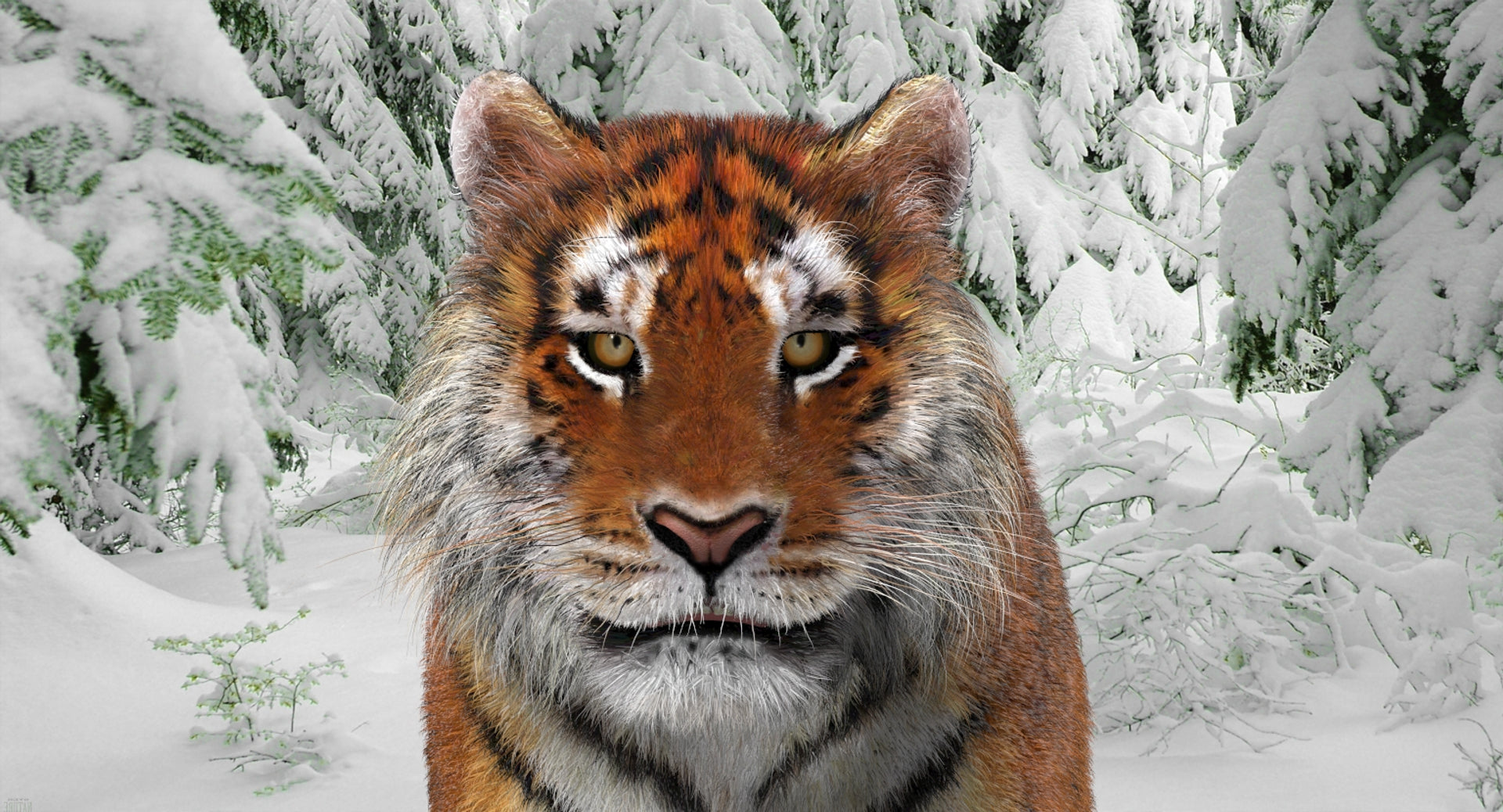 Animated Big Cats 3D Model Fur