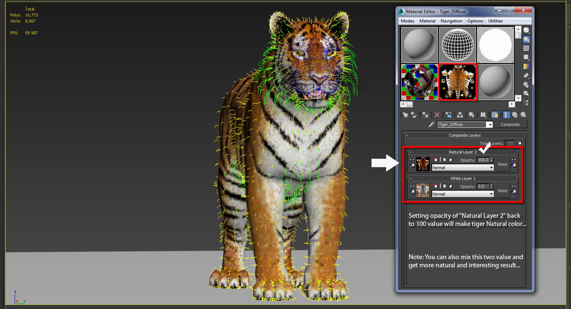 Tiger Animated 3D Model Fur Two Colors
