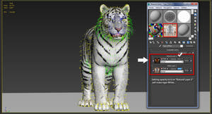 Animated Siberian Tiger 3D Model - Two Coats with Hair and Fur Thumbnail