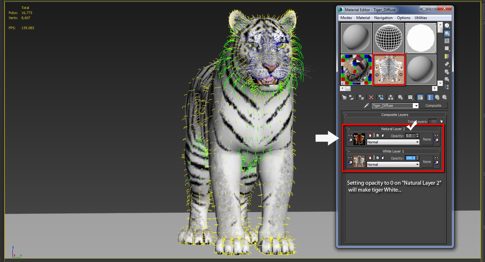 Tiger Animated 3D Model Fur Two Colors