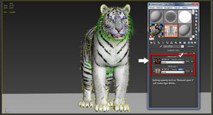 Tiger Animated 3D Model Fur Two Colors Thumbnail