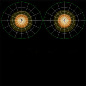 Eyes uvs of tiger Thumbnail