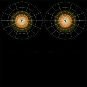 Eyes uvs of tiger Thumbnail