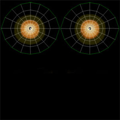 Animated Big Cats 3D Model Fur