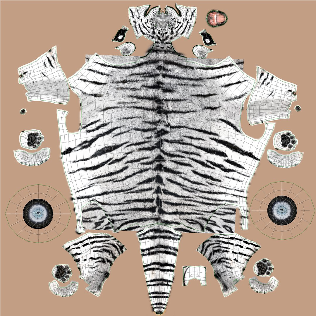 Tiger Animated 3D Model Fur Two Colors