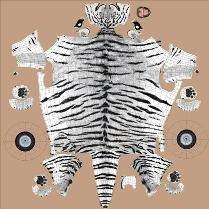 Tiger Animated 3D Model Fur Two Colors