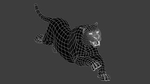 3D wireframe model of a black panther on a transparent background Thumbnail