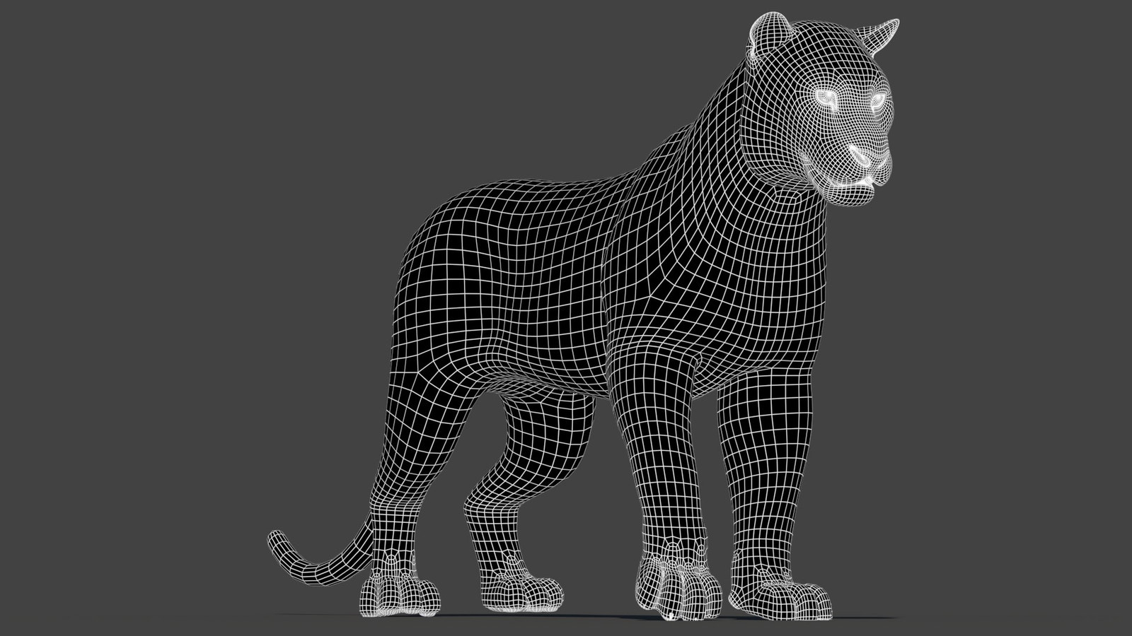 3D Tiger Model: wireframe view - subdivision 1