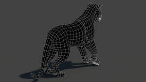 3D Tiger Model: wireframe back view - subdivision 0 Thumbnail