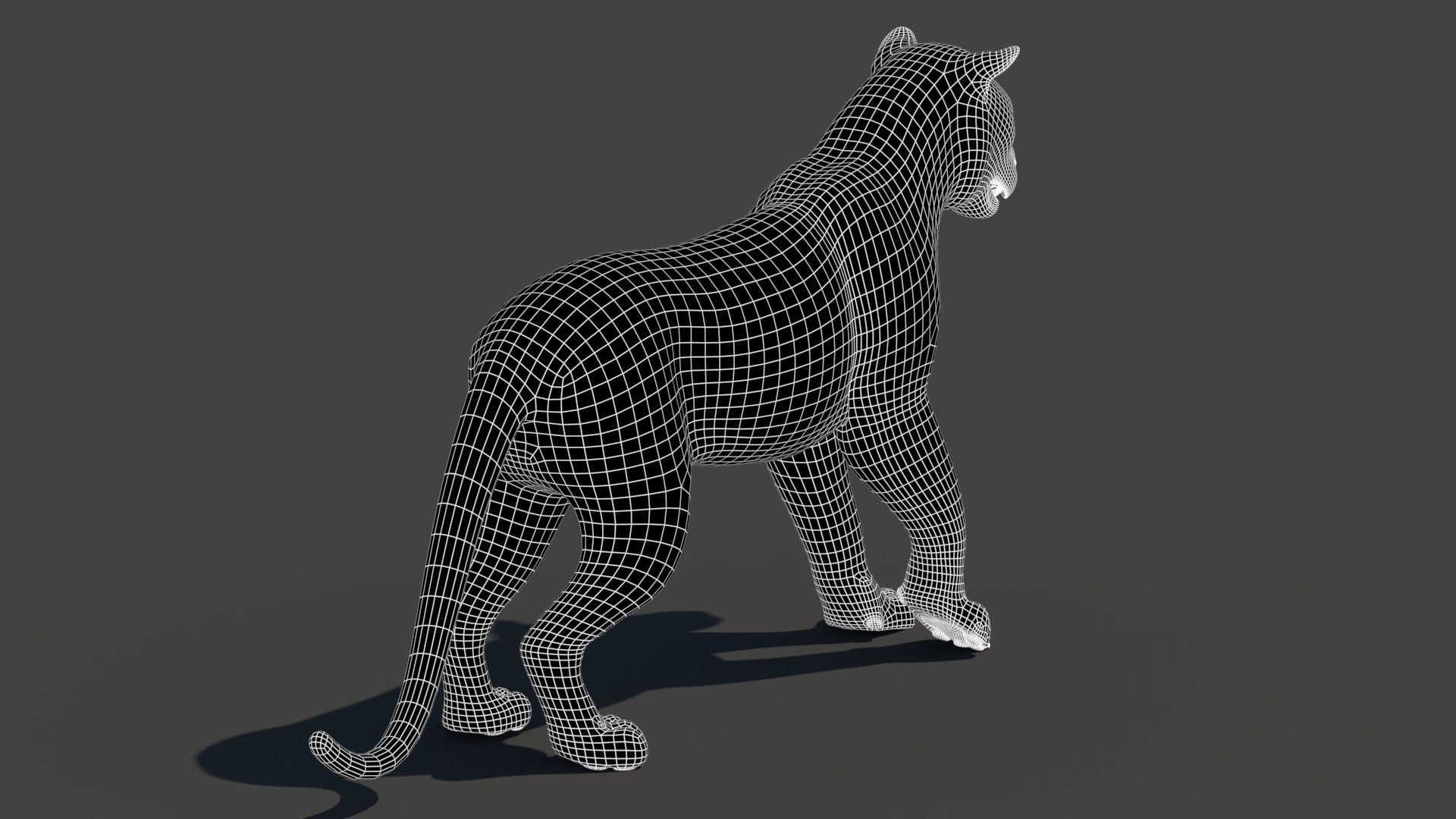 3D Tiger Model: wireframe back view - subdivision 1