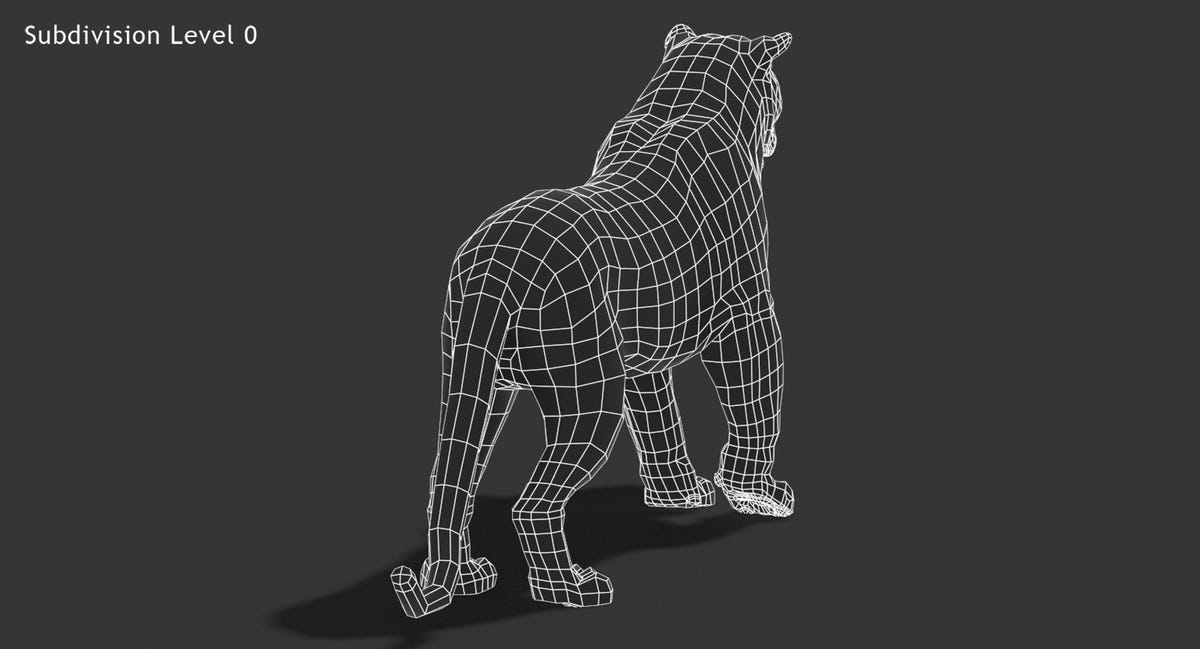 Animated Big Cats 3D Model Fur